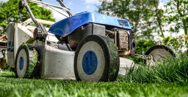 gardening & maintenance